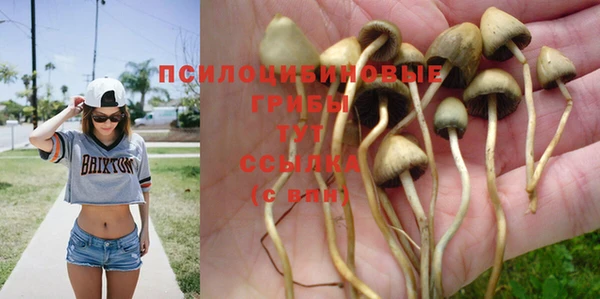 прущие крисы Кинешма