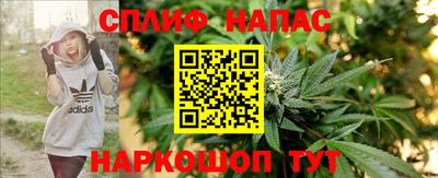 гашик Можайск