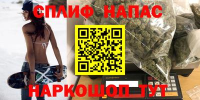 apvp Нальчик