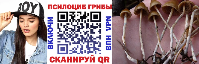 Псилоцибиновые грибы мухоморы  купить   Ковров 
