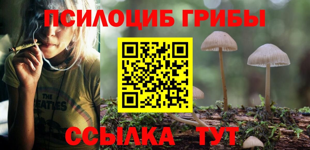 Ковров  закладка  Вход с VPN  Галлюциногенные грибы ЛСД 