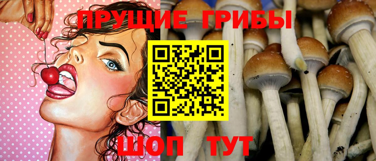 Галлюциногенные грибы MAGIC MUSHROOMS Ковров